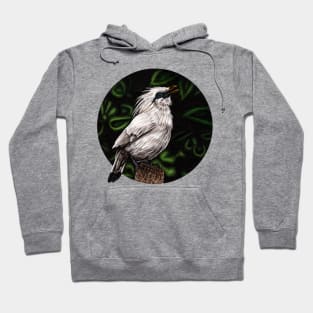 Bali starling Hoodie